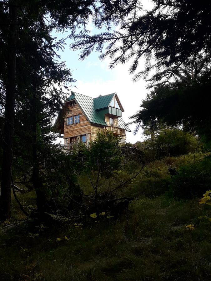 Mountain Story Apartment Žabljak Exterior foto